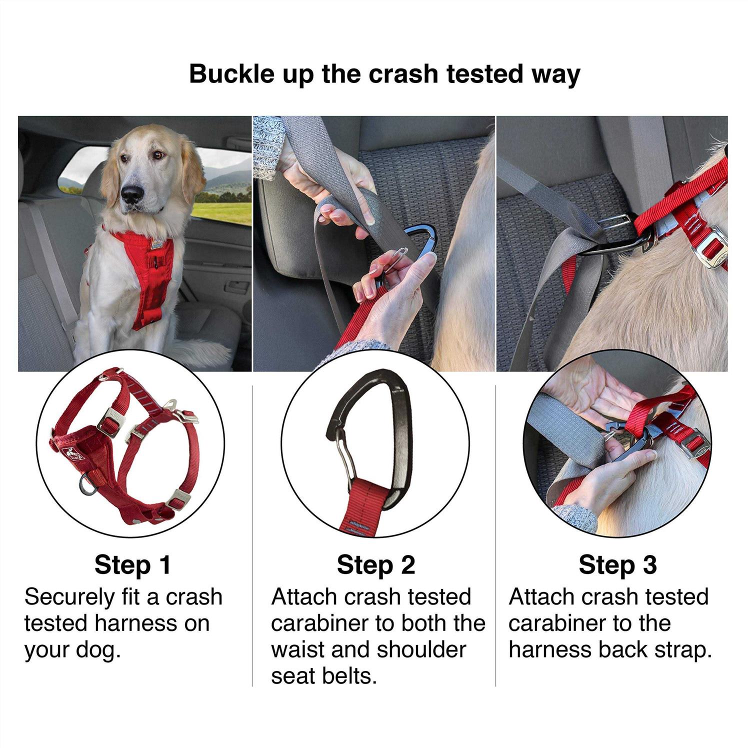 Kurgo Enhanced Strength Tru-Fit Dog Harness - Healthber