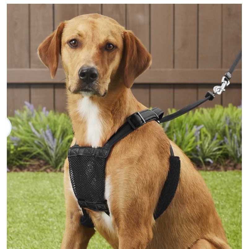 Sporn Stop-Pulling! Dog Harness - Healthber