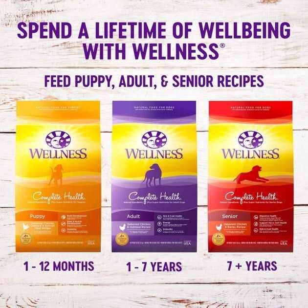 Wellness Complete Health Large Breed Puppy Dry Dog Food - Healthber