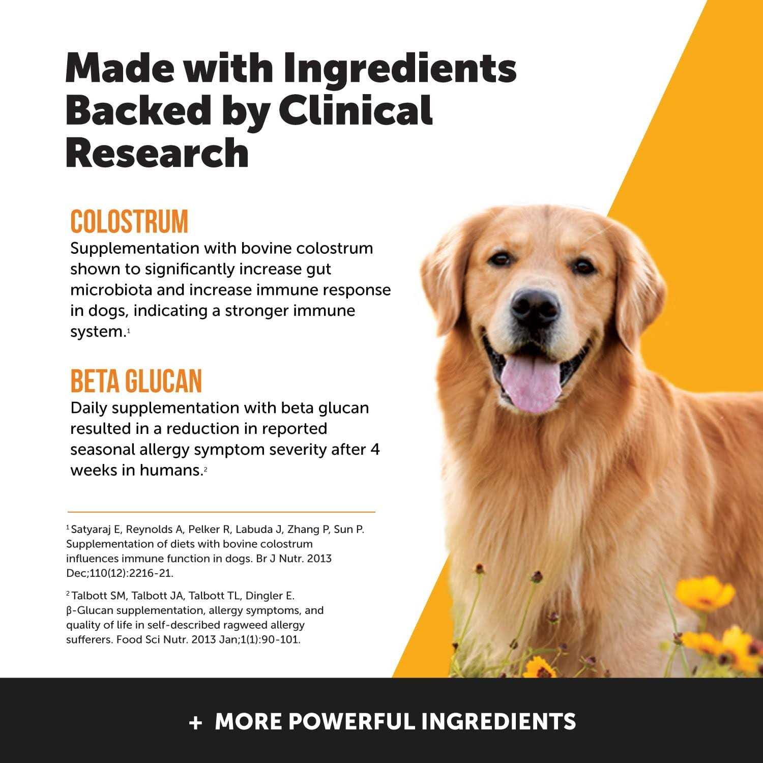 Pet Honesty Dog Max Strength Allergy Support Supplement w Probioitcs Omegas and Zinc - Healthber