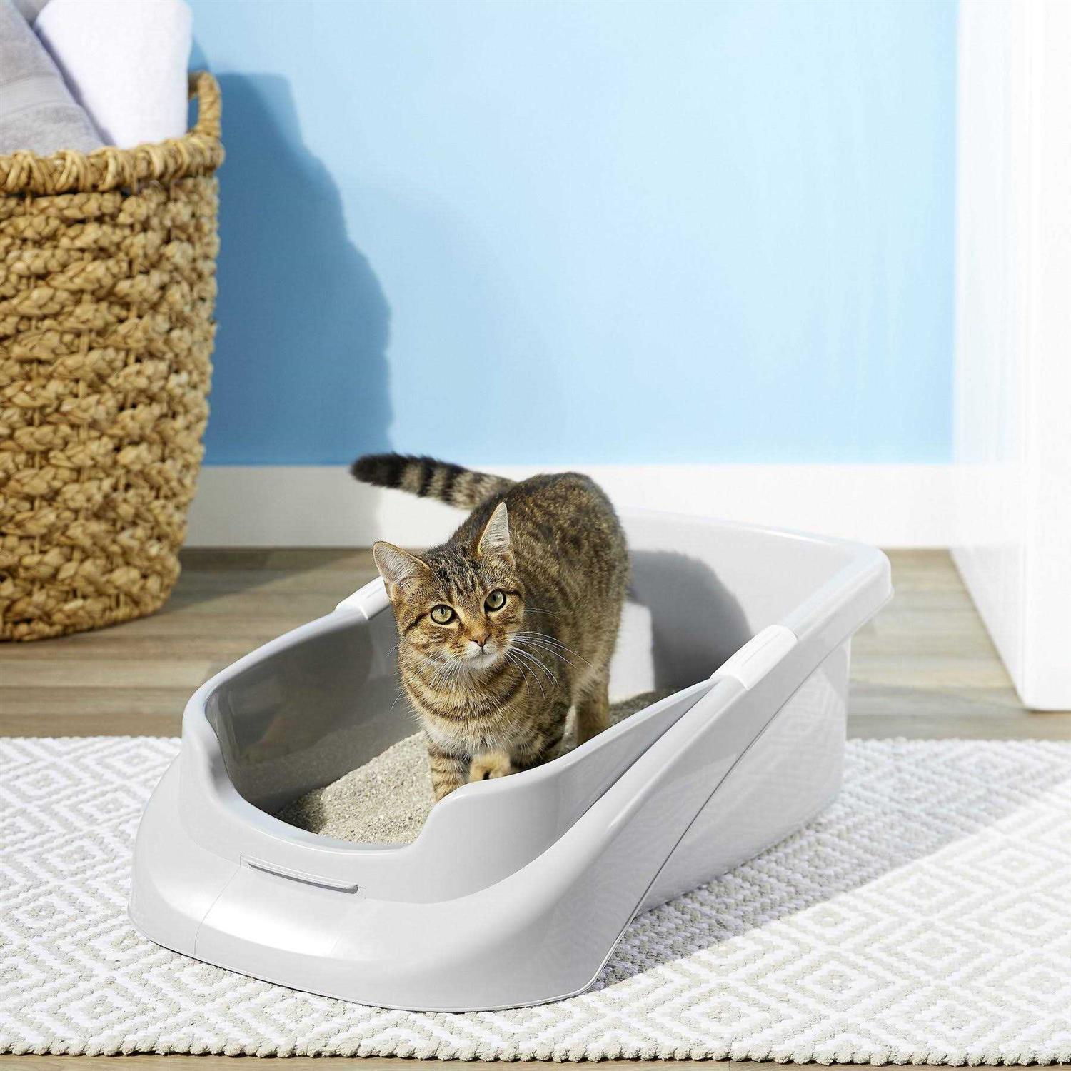 Lucky Champ Litter Pan - Healthber