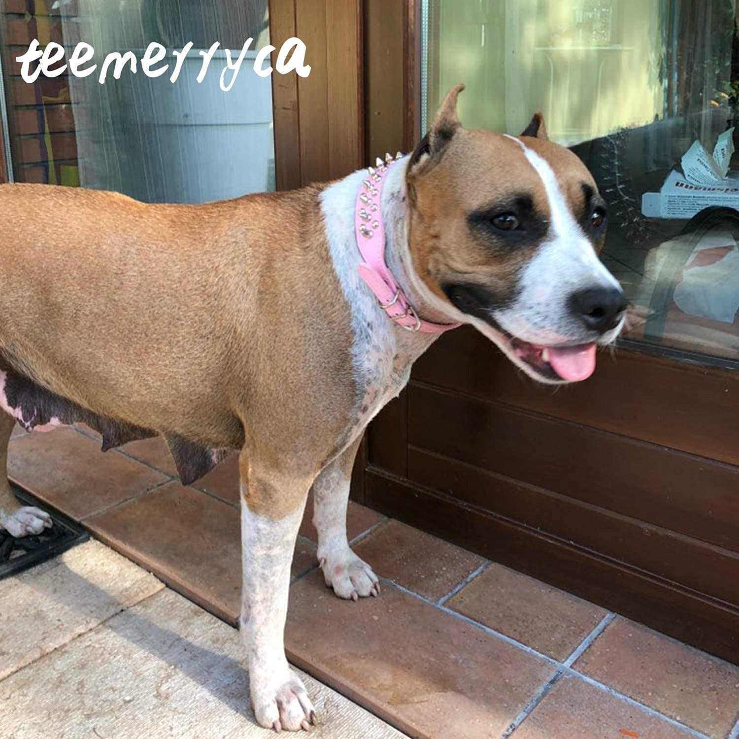 Teemerryca Adjustable Leather Spiked Studded Dog Collars with a Squeak Ball Gift for Small Medium Large Pets Like Cats/Pit Bull/Bulldog - Healthber