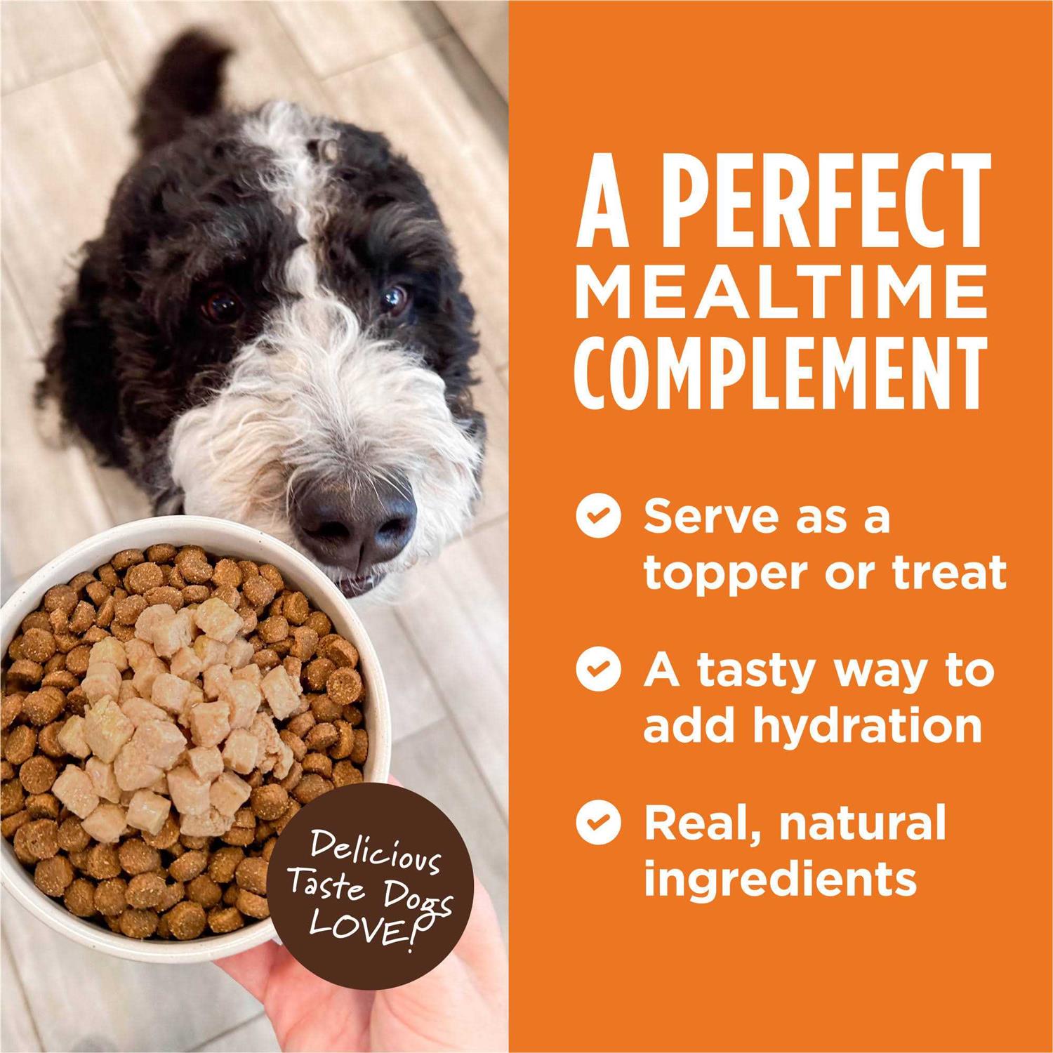 Instinct Healthy Cravings Grain Free Real Recipe Wet Dog Food Topper - Healthber