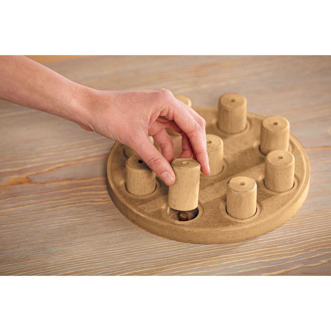 Outward Hound Nina Ottosson Dog Smart Composite Puzzle - Healthber