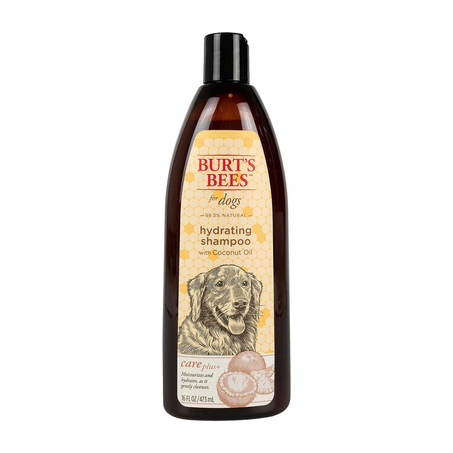 Burt’s Bees Care Plus+ Hydrating Coconut Oil Shampoo - Healthber