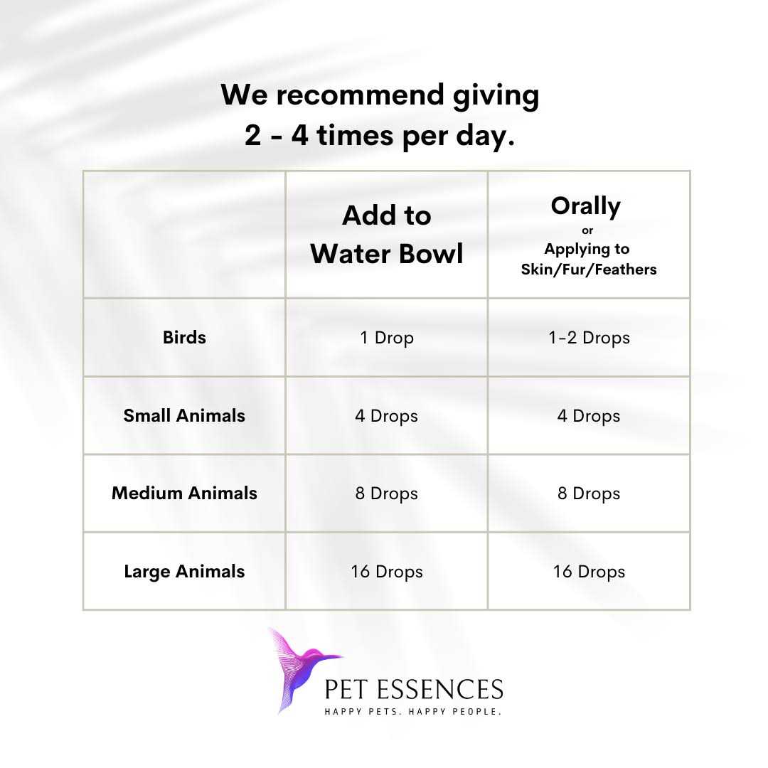 Pet Essences Seizures - Healthber