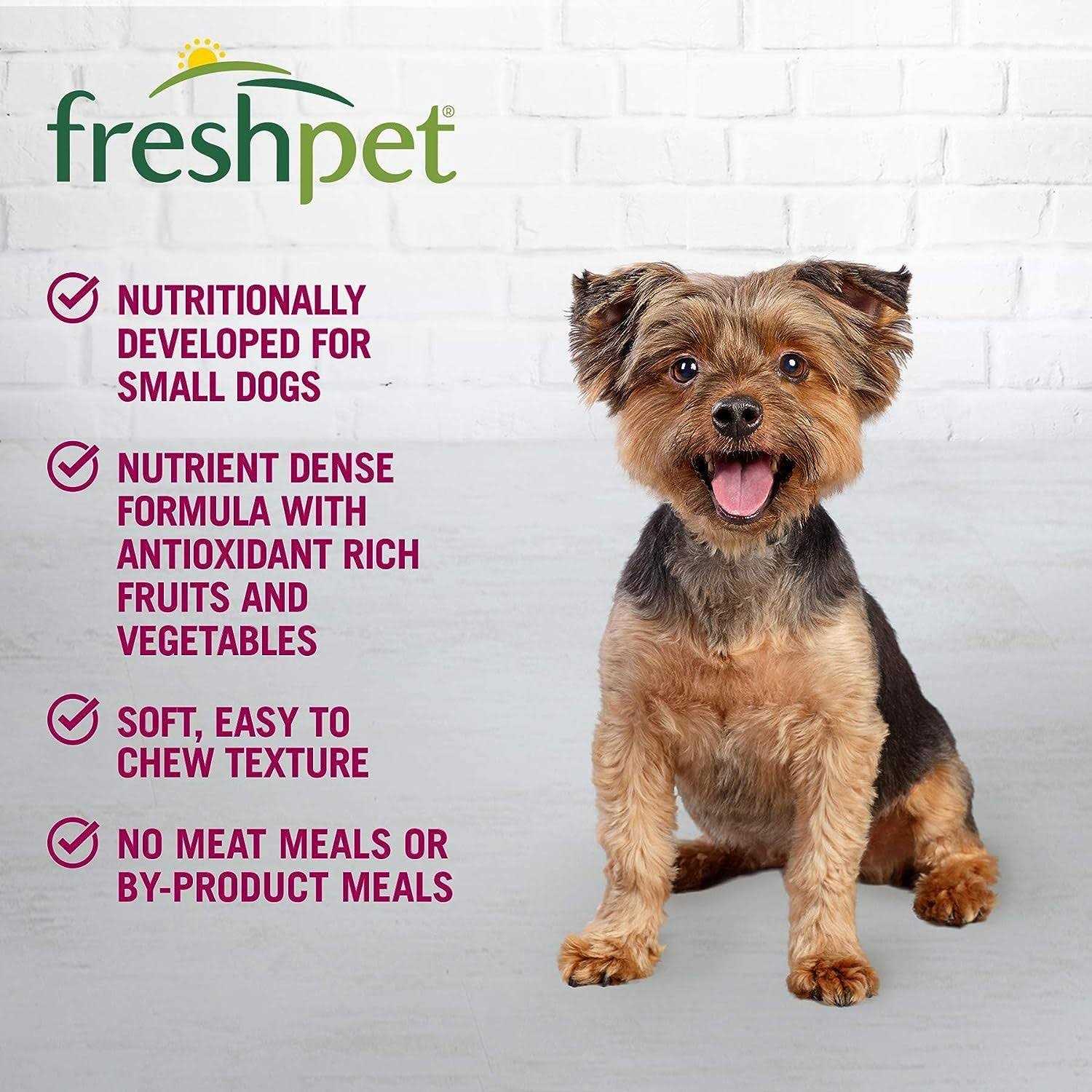 Salutem Vita Freshpet Dog Food Chunky Beef Recipe - Healthber