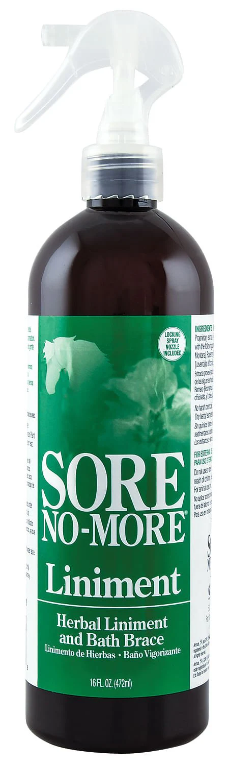 Sore No More Liniment, 16 oz - Healthber