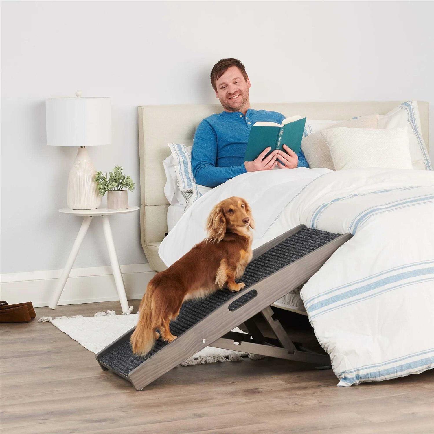 EveryYay Rise & Climb 39.37 x 15.75 x 3.94 Indoor Pet Ramp - Healthber
