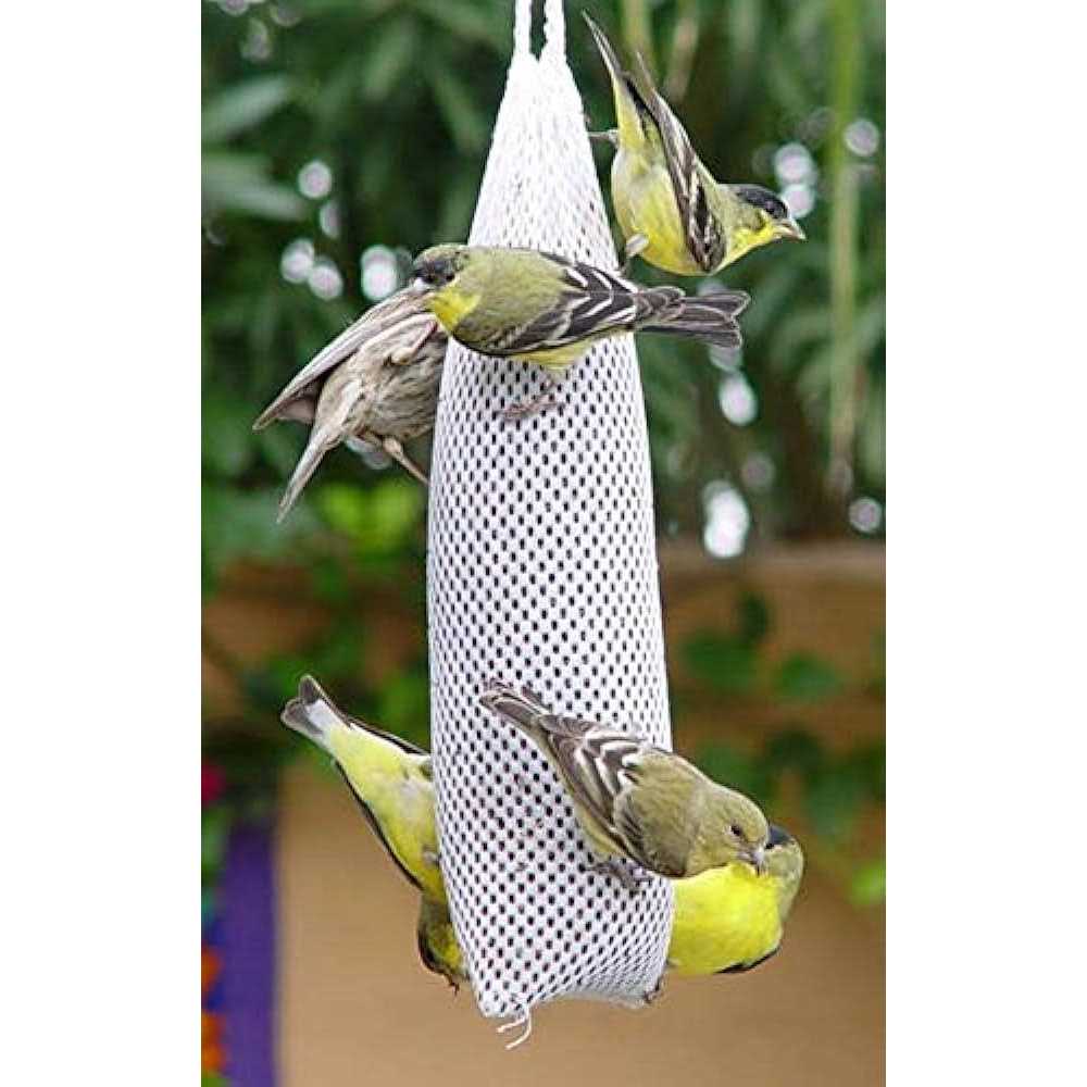 Premium New Feeder Sock Filled with Fresh Thistle Seeds for Wild Birds - Healthber