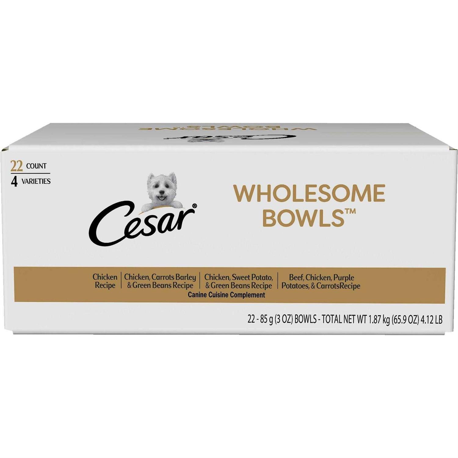 Cesar Wholesome Bowls Wet Dog Food - Healthber