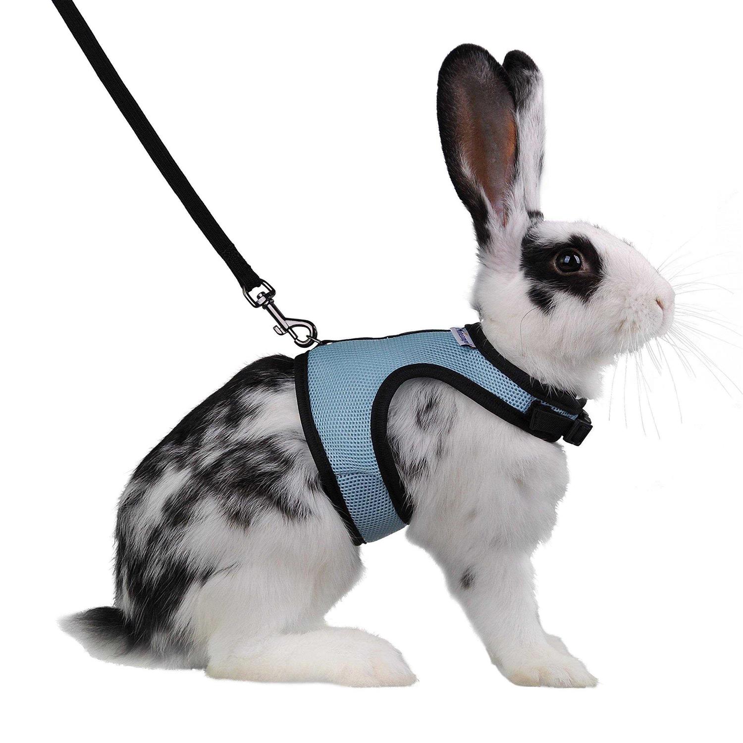 Niteangel Adjustable Soft Harness with Elastic Leash for Rabbits - Healthber