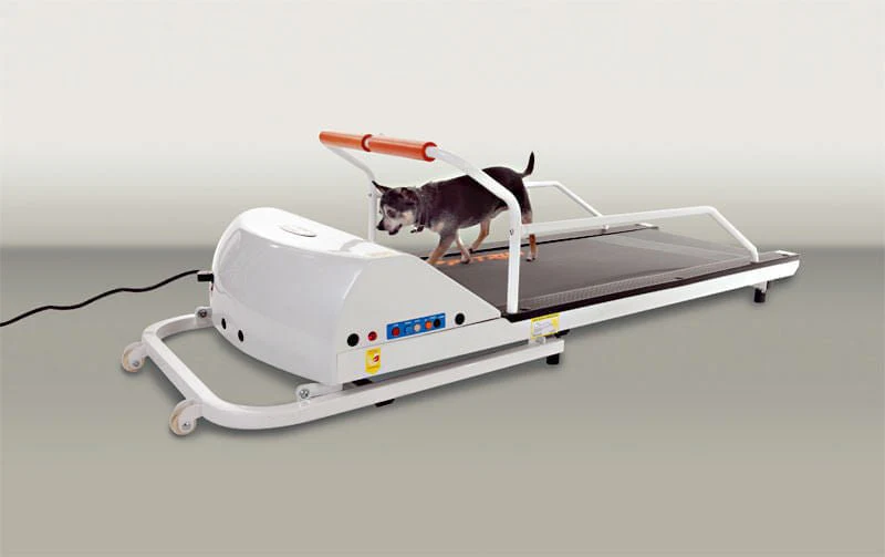 PetRun Small Breed Treadmill (PR710F) - Healthber