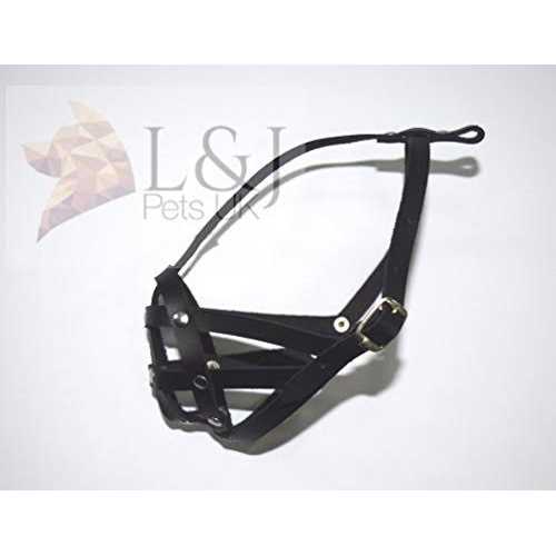 L&J Pets Uk Leather dog Muzzle for Shih Tzu and other flat face short snout dog’s - Healthber