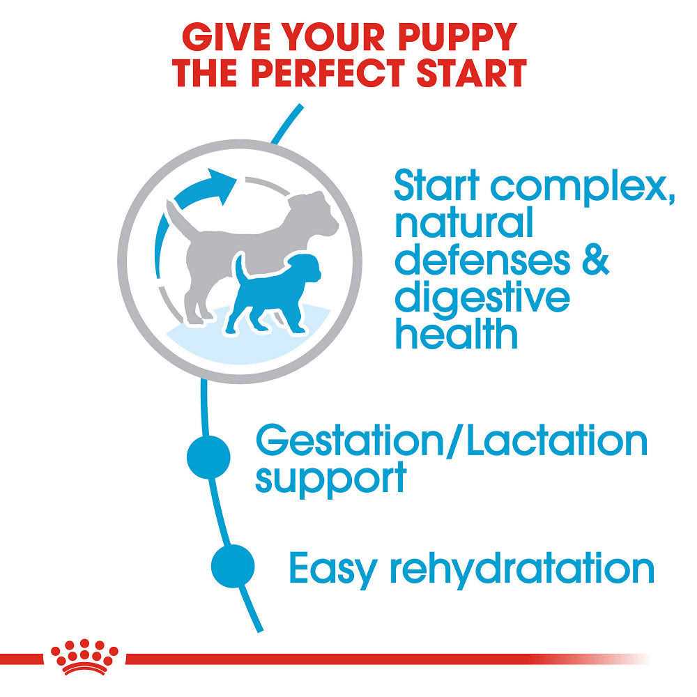 Royal Canin Small Starter Babydog & Mother Dry Dog Food - Healthber