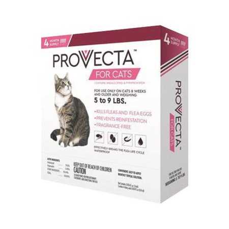 Provecta Pro Collar - Healthber