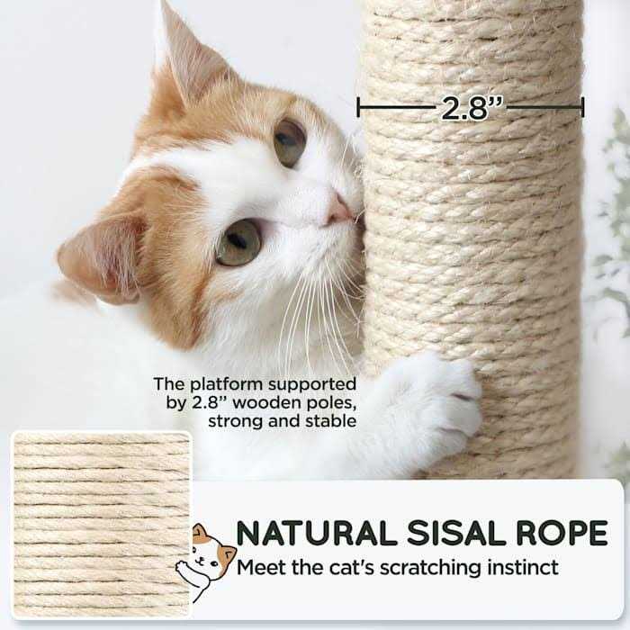 Topeakmart Gray 4-Level Plush Cat Tree with Hammock for Kittens - Healthber