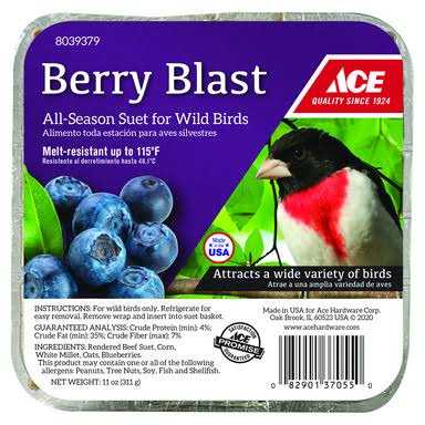 Ace Berry Blast Assorted Species beef Suet 11 oz - Healthber