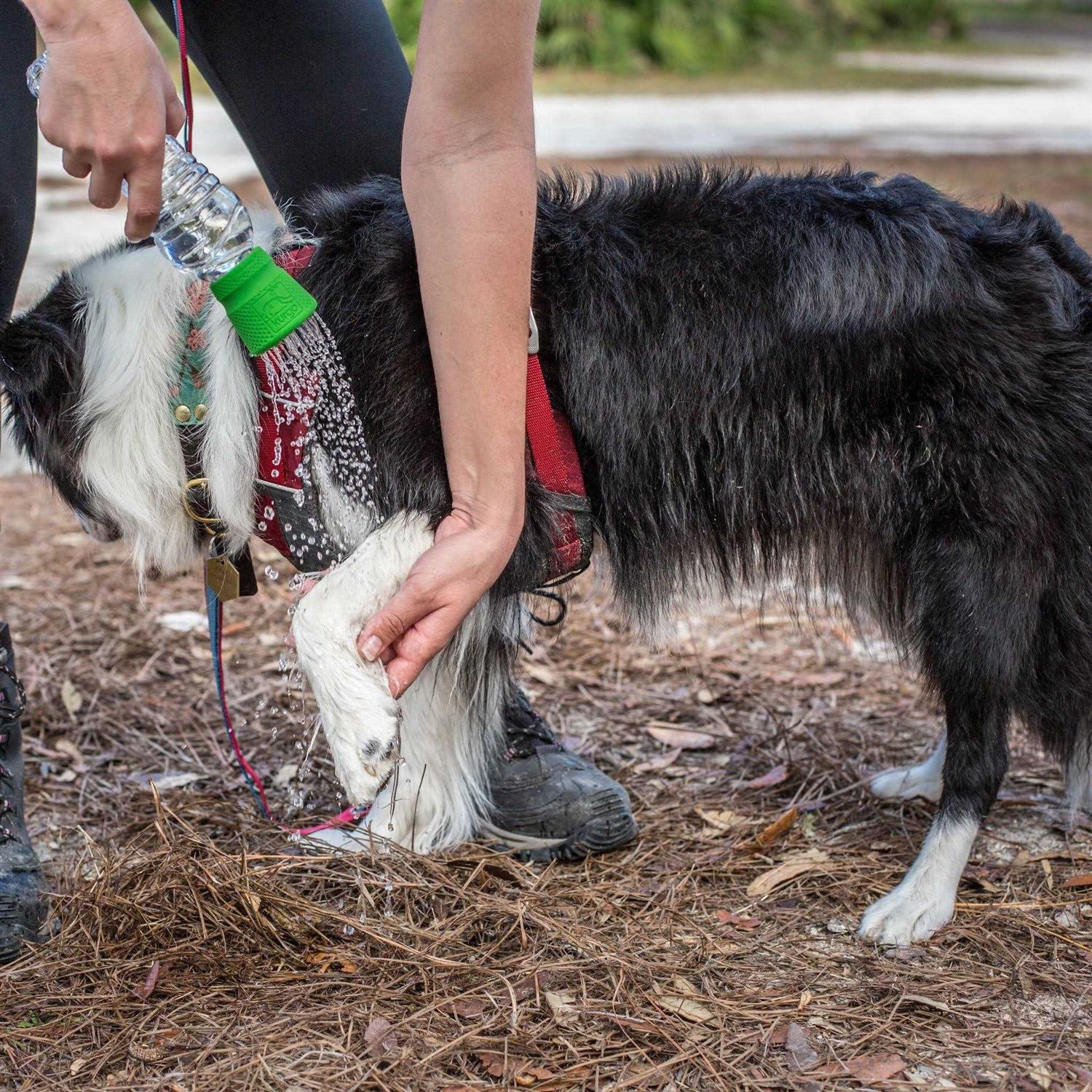 Kurgo Mud Dog Travel Shower - Healthber