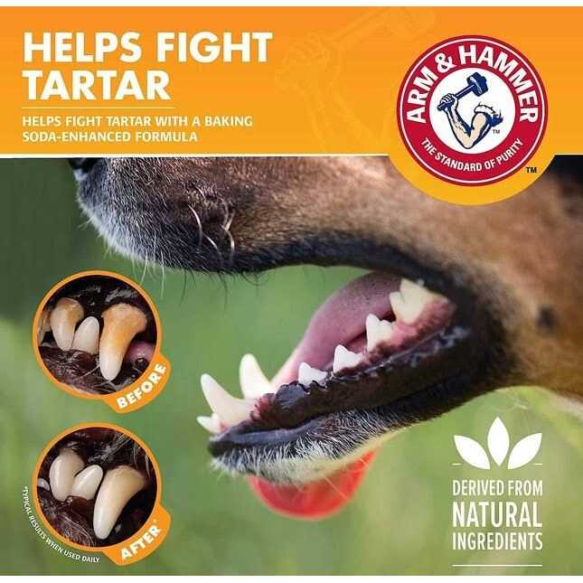 Arm & Hammer Flavorless Dental Rinse for Adult Dogs - Healthber