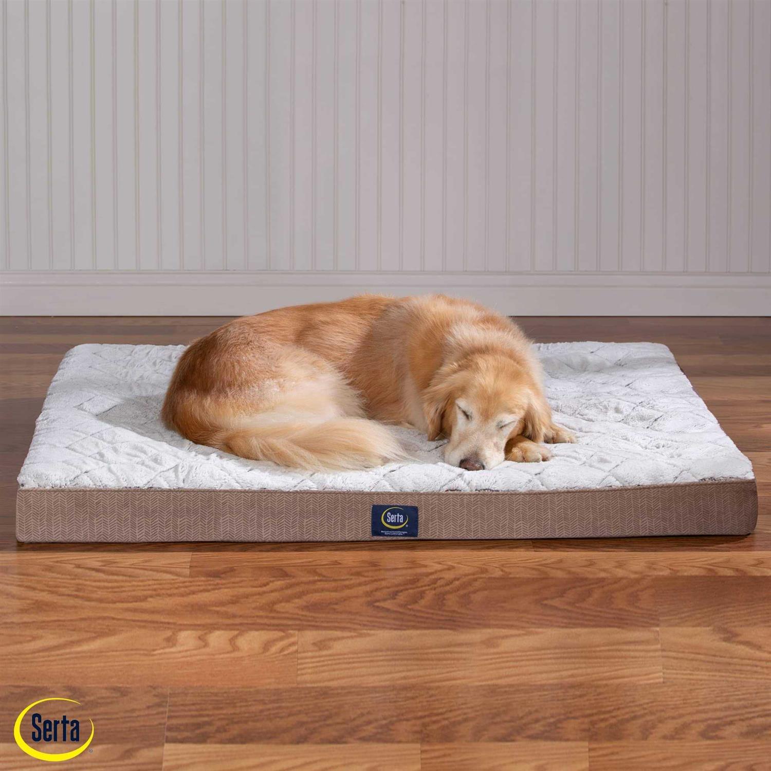 Serta Ortho Foam Quilted Pillowtop Pet Bed - Healthber