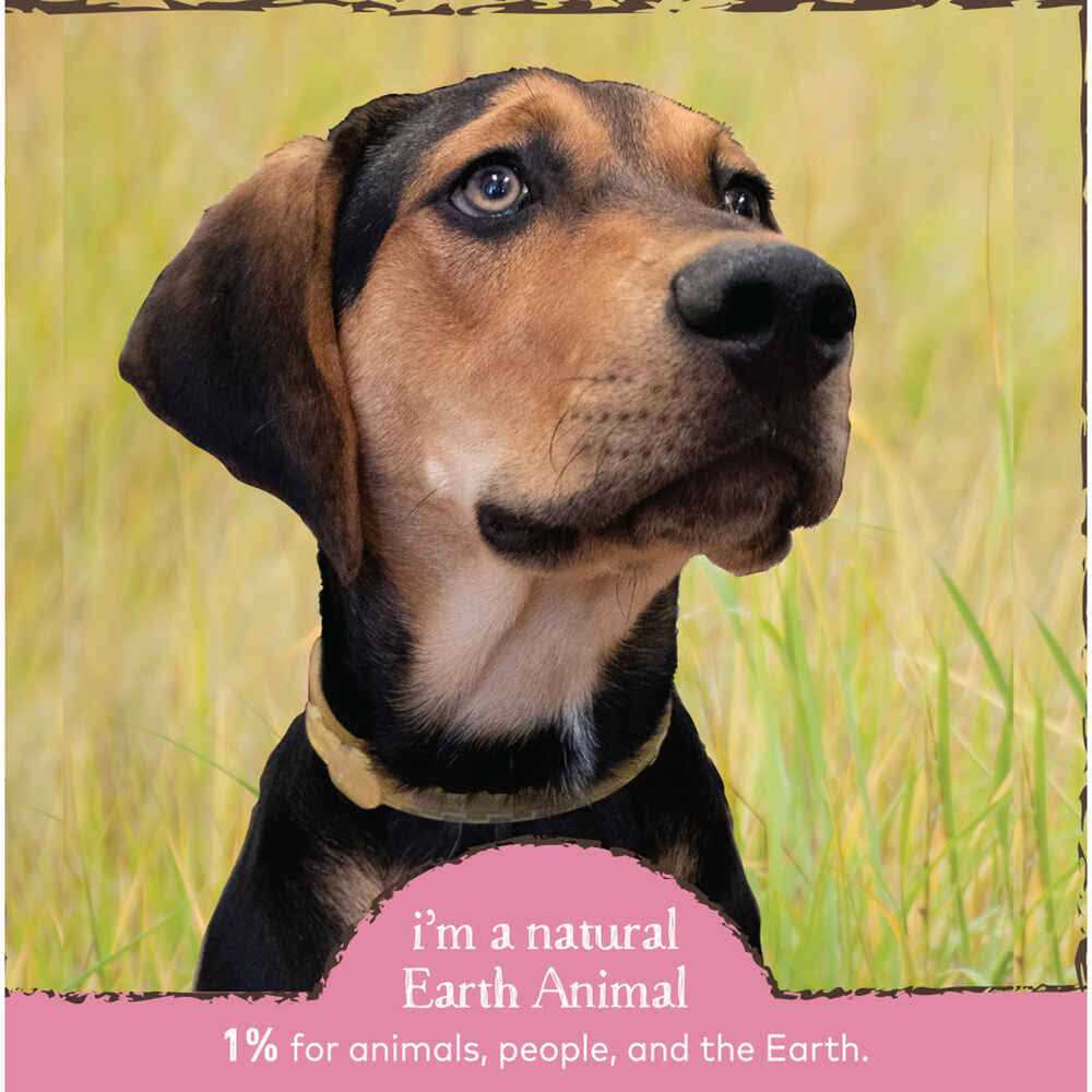 Earth Animal Herbal Flea & Tick Collar for Cats - Healthber