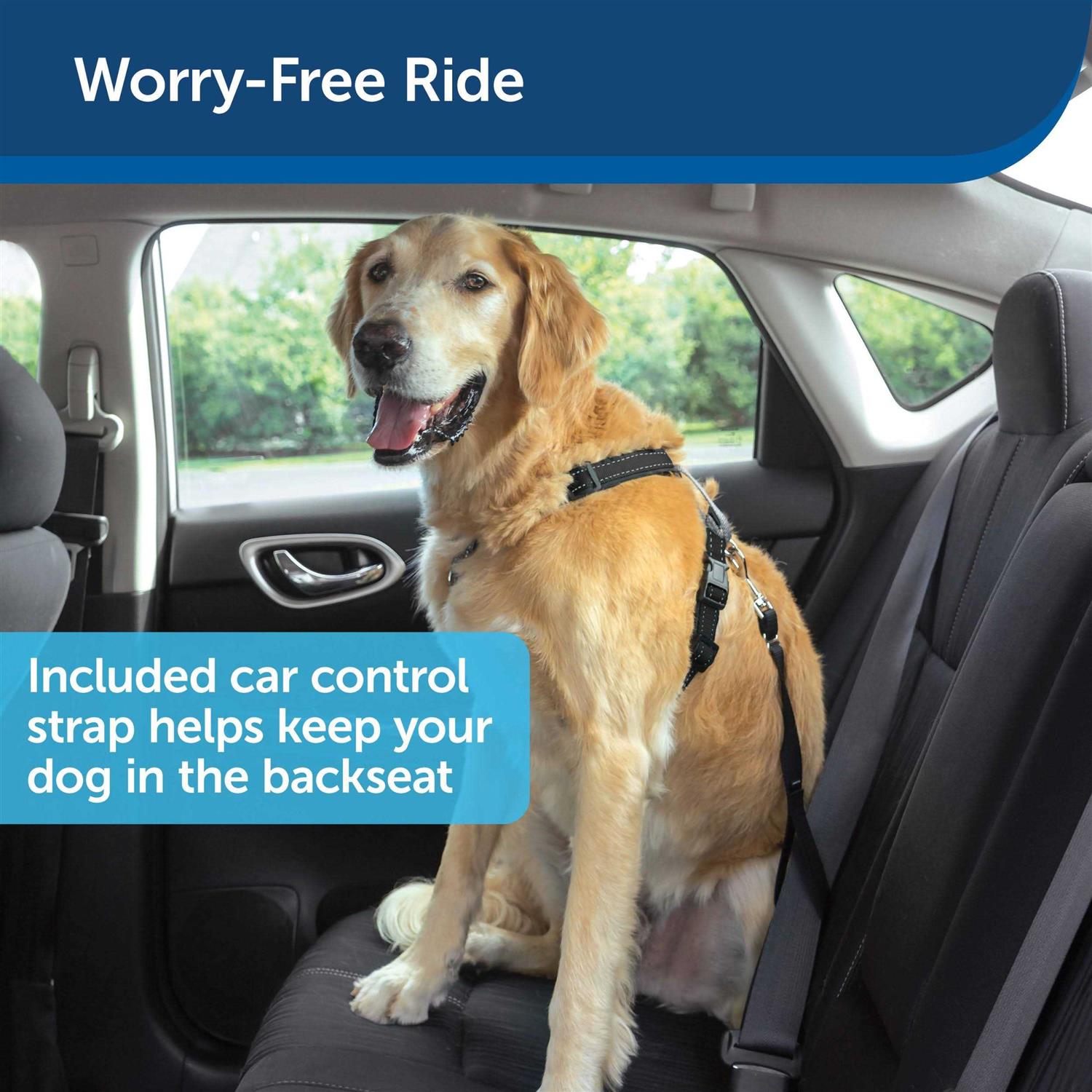PetSafe 3 in 1 Harness with Two Point Control Leash - Healthber