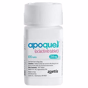 Rx Apoquel (oclacitinib) Tablets for Dogs - Healthber