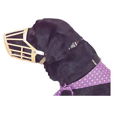 Plastic Dog Muzzles w/ Nylon Web Adjustment Straps - Healthber