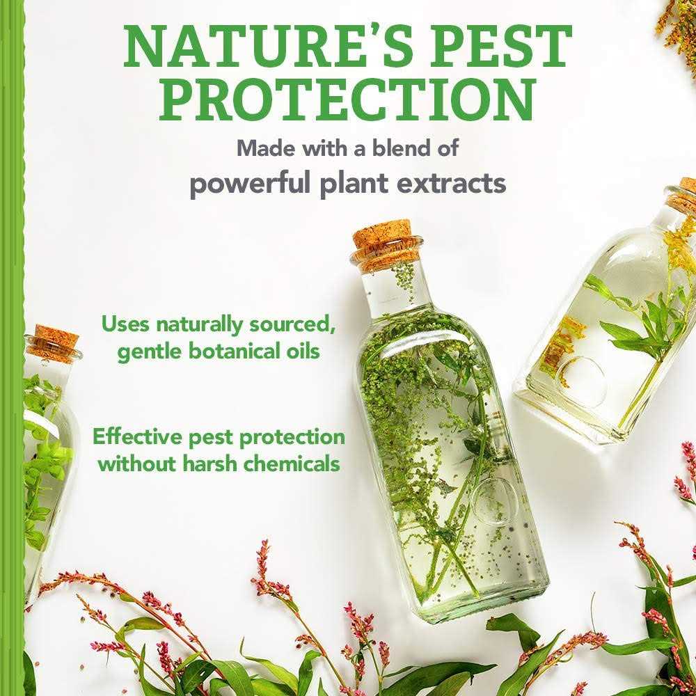 Natural Care Flea and Tick Carpet Powder Flea Treatment for Rugs, Carpet, or Pet Bedding - Healthber