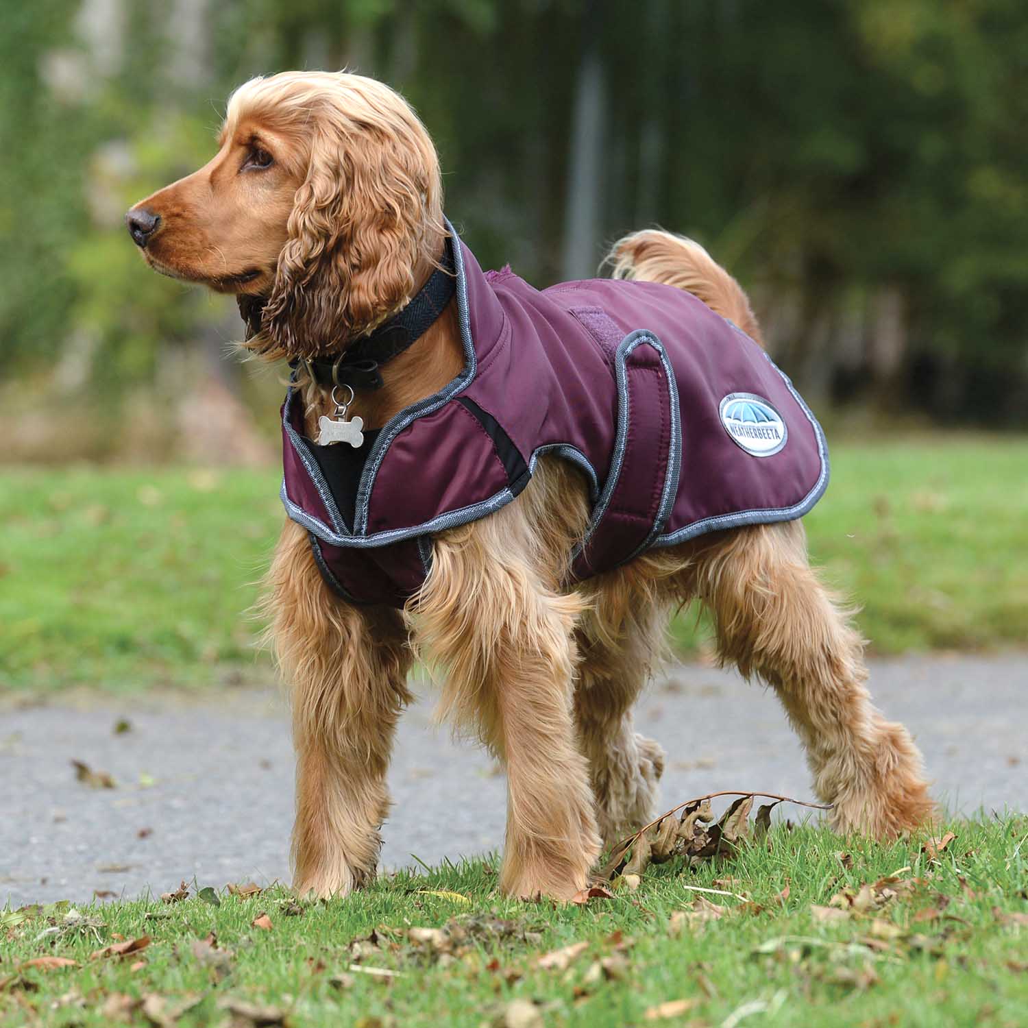 WeatherBeeta ComFITec Windbreaker Free Deluxe Dog Coat, Maroon/Gray/White - Healthber