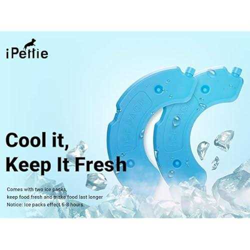iPettie Donuts Frost 6 Meal Cordless Automatic Pet Feeder - Healthber