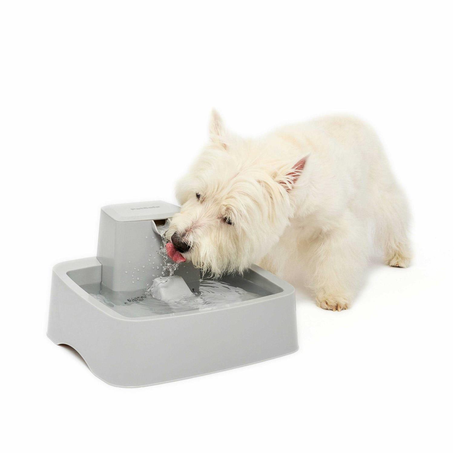 PetSafe Drinkwell 1 Gallon Pet Fountain - Healthber