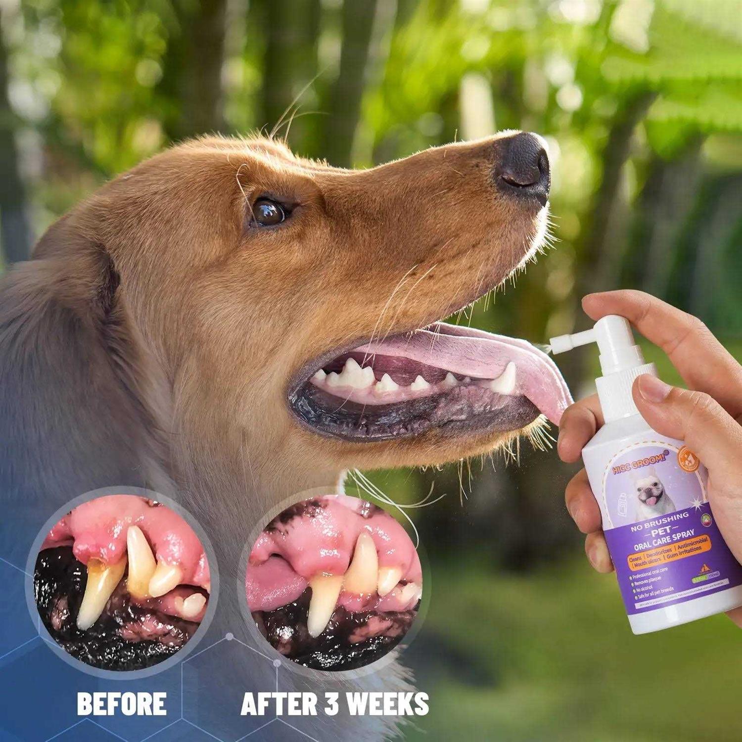 HICC PET Dog Cat Oral Care Spray 5.1 Oz - Healthber