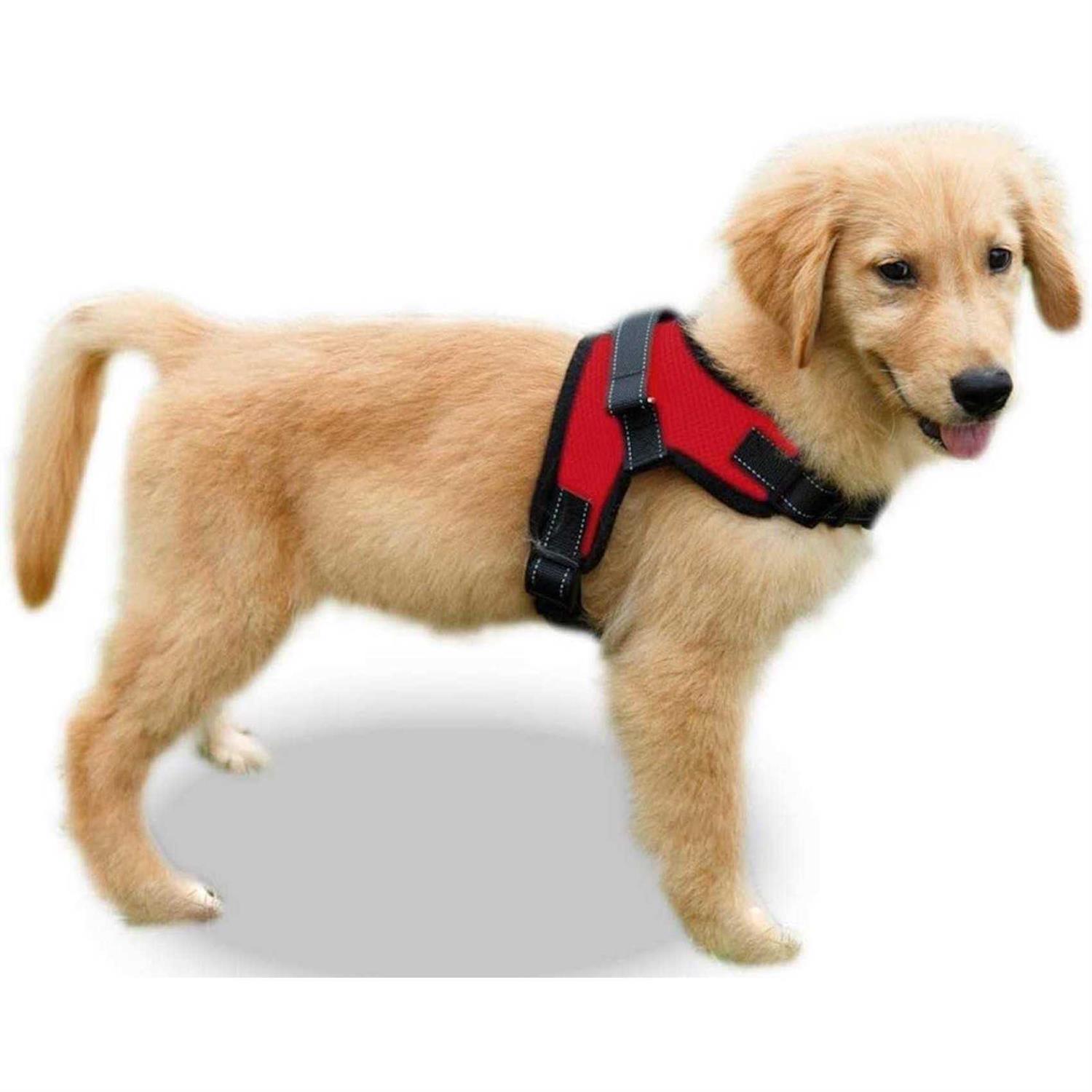 Copatchy No Pull Adjustable Reflective Dog Harness with Handle - Healthber