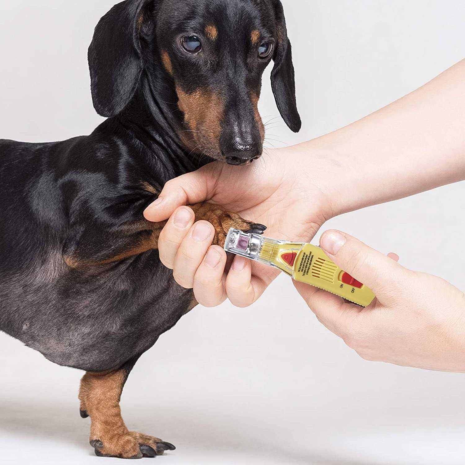 ConairPRO Dog Professional Nail Grinder - Healthber