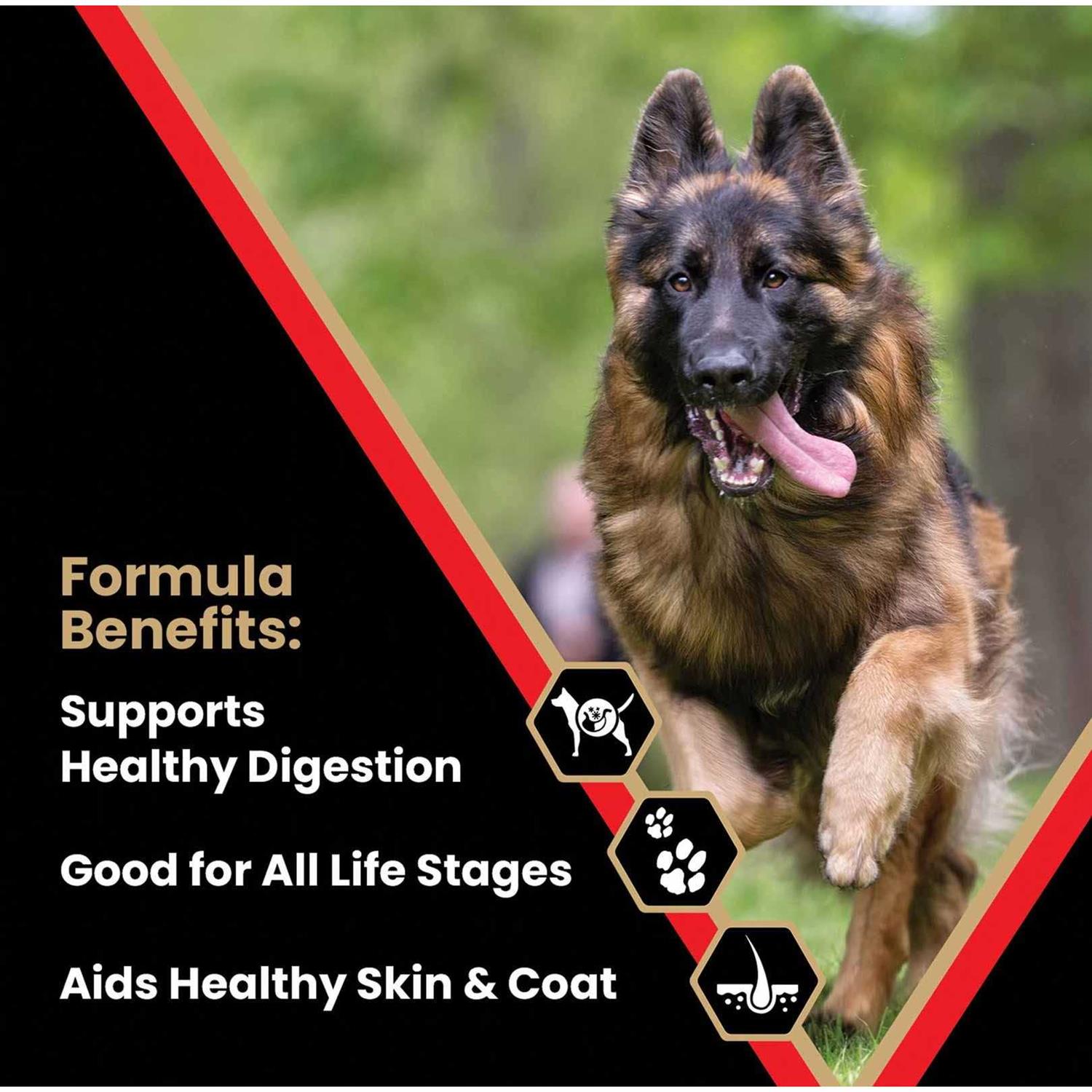 Victor High Energy Dry Dog Food - Healthber
