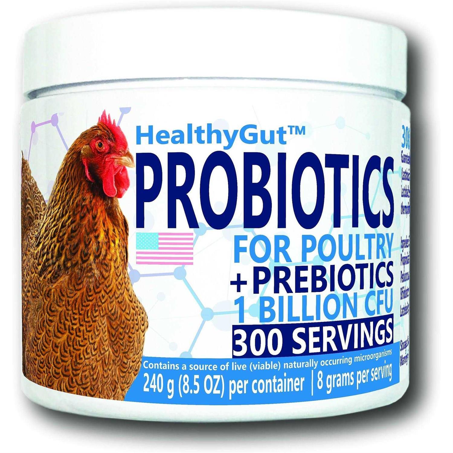 Equa Holistics HealthyGut Probiotics for Chickens & Poultry - Healthber