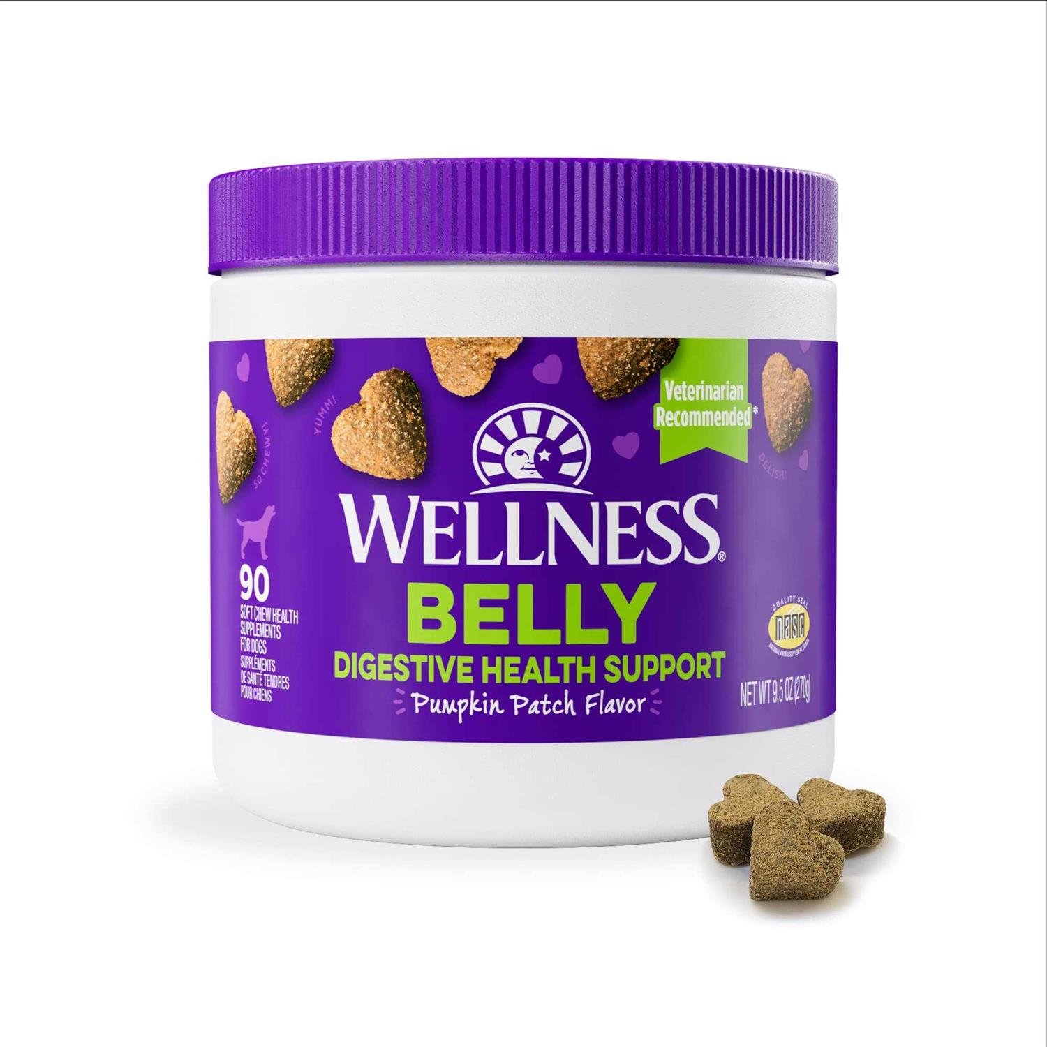 Wellness Pumpkin Patch Flavored Soft Chew Digestive Health Supplements for Dogs - Healthber