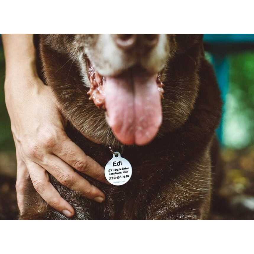 Dog Tag Art Microchip Alert Personalized Dog & Cat ID Tag - Healthber