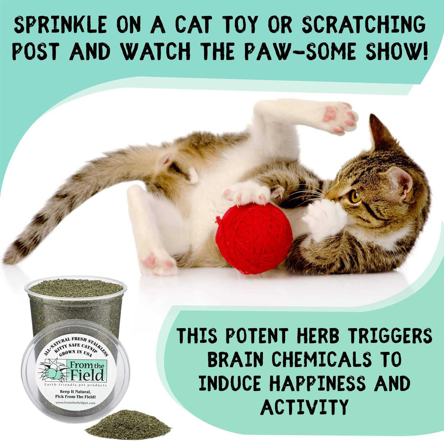 From The Field Stalkless Catnip - Healthber