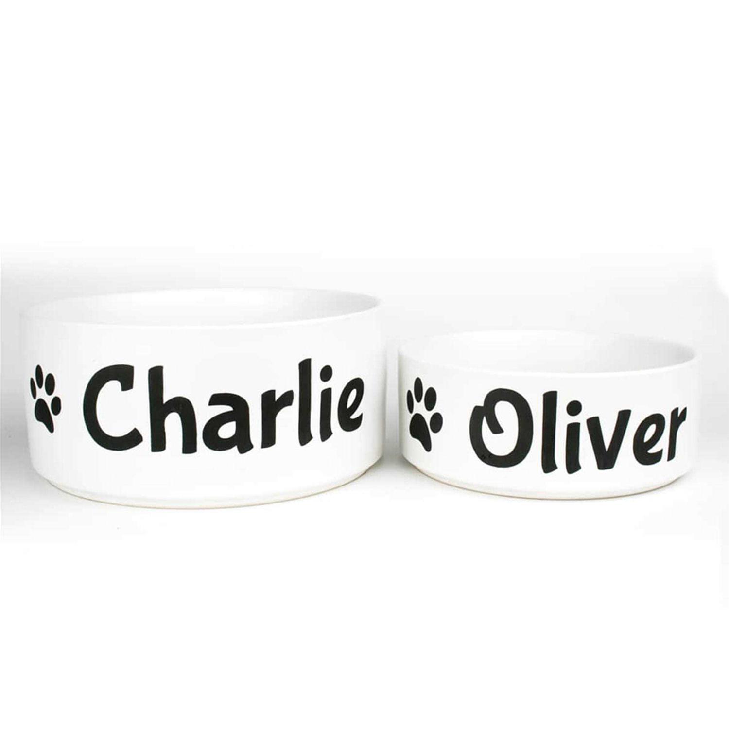 GoTags Personalized Dog Bowl - Healthber
