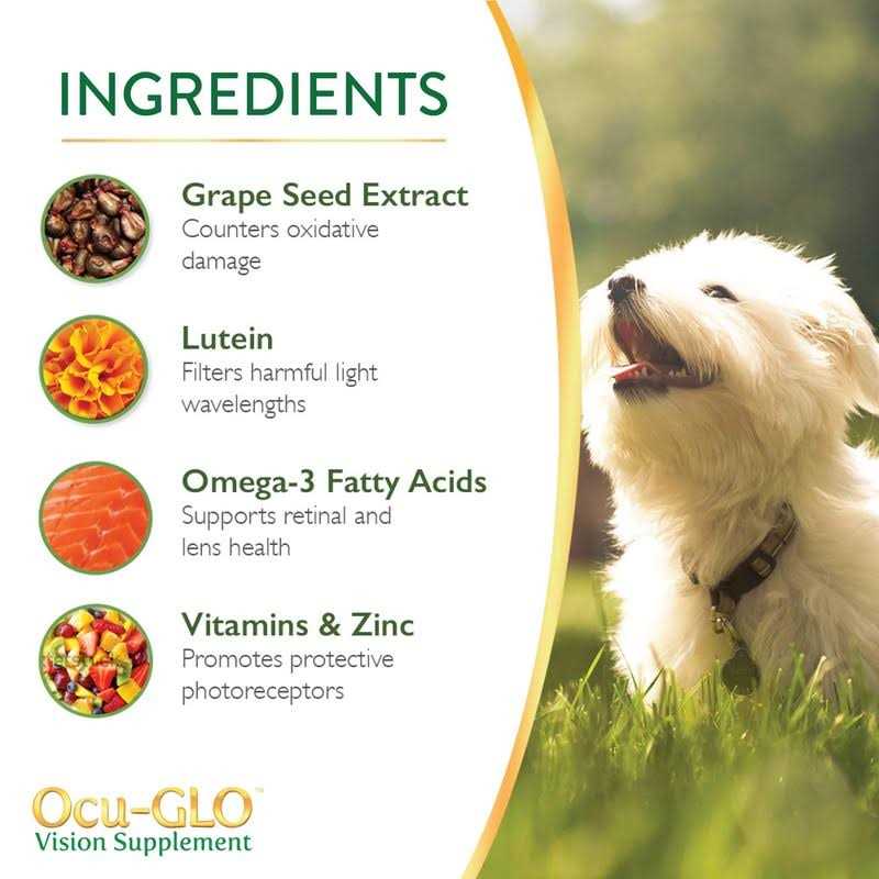 Ocu-GLO Vision Supplement for Small Dogs - Healthber