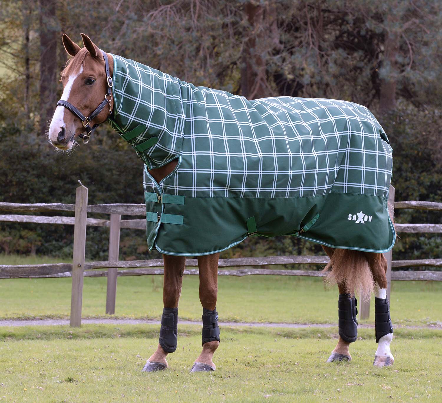 Saxon Defiant 1200D Combo Neck Medium Weight Horse Turnout, Hunter Green Plaid - Healthber