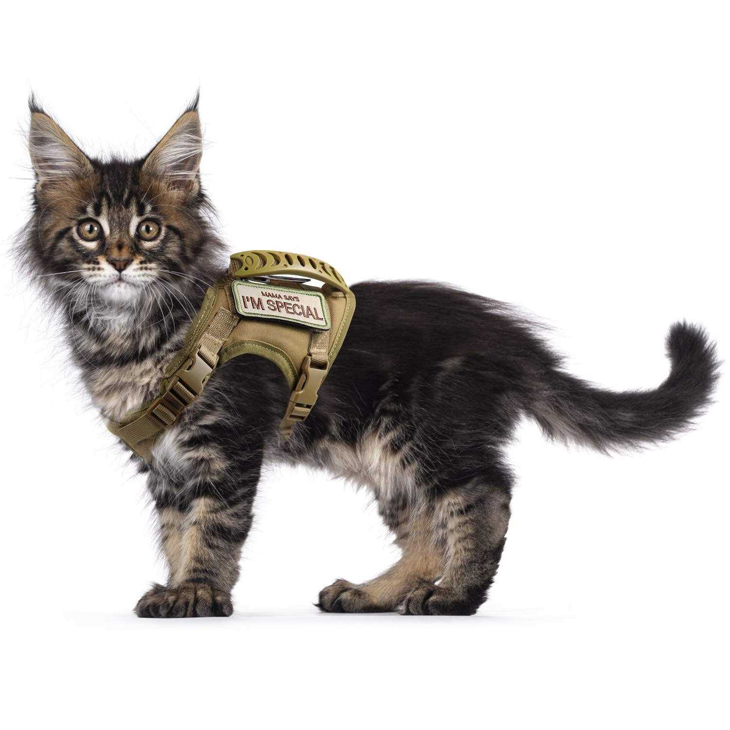 augopapa Tactical Cat Harness for Walking Escape Proof Soft Mesh Adjustable Pet Vest Harness - Healthber