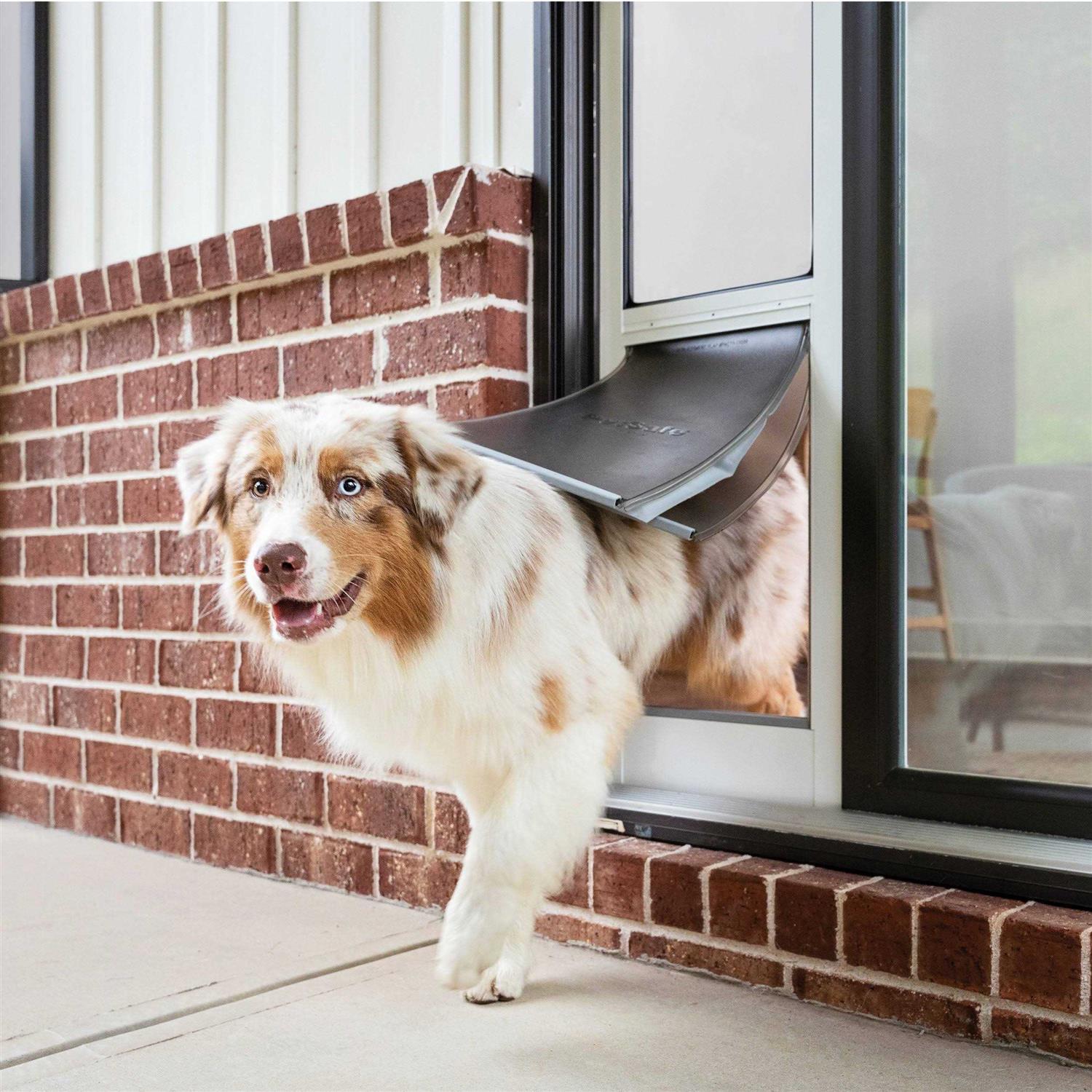 PetSafe Extreme Weather Sliding Glass Pet Door - Healthber