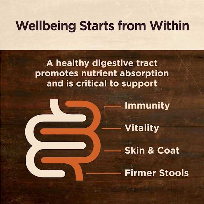 Wellness CORE Digestive Health Chicken & Beef Pate Variety Pack Grain Free Wet Dog Food - Healthber
