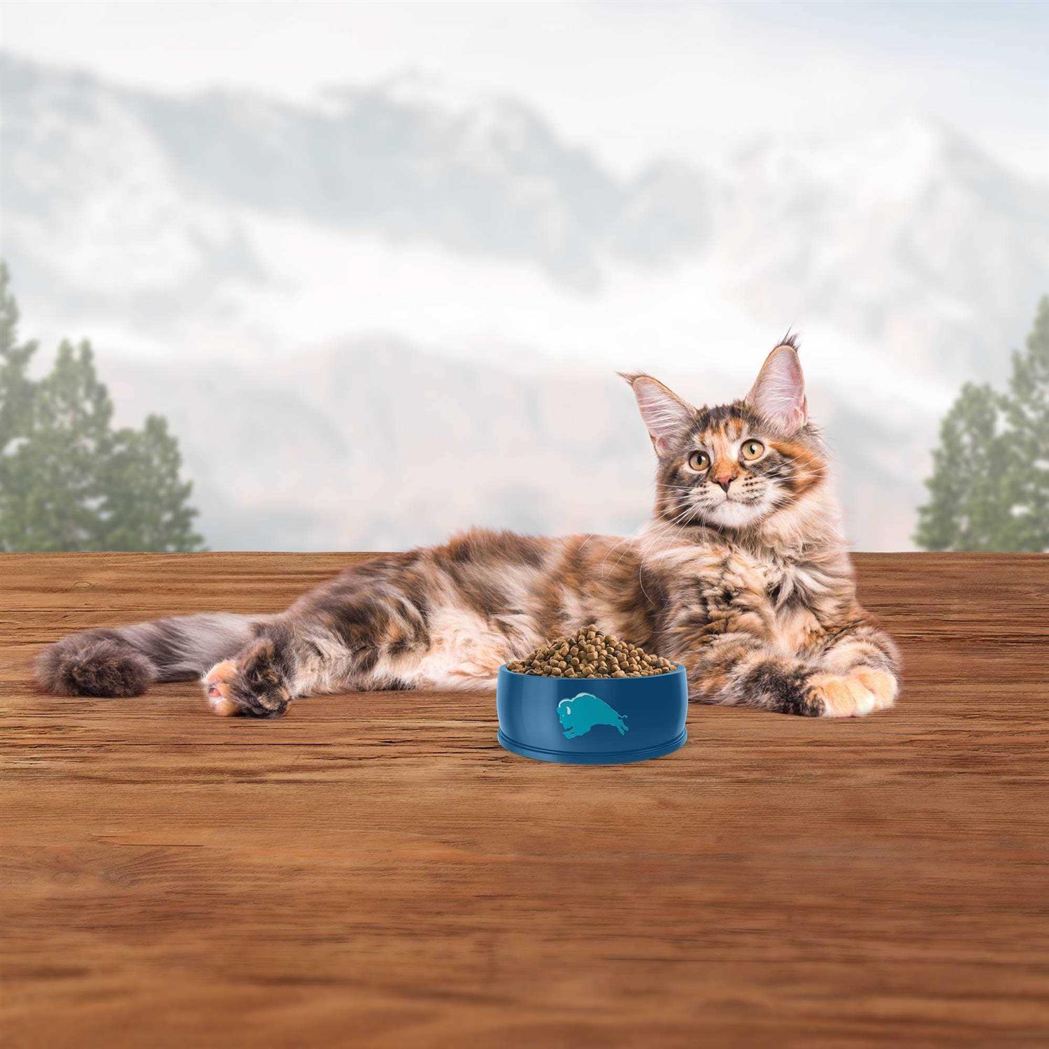 Blue Wilderness Indoor Hairball Control Cat Dry Food - Healthber