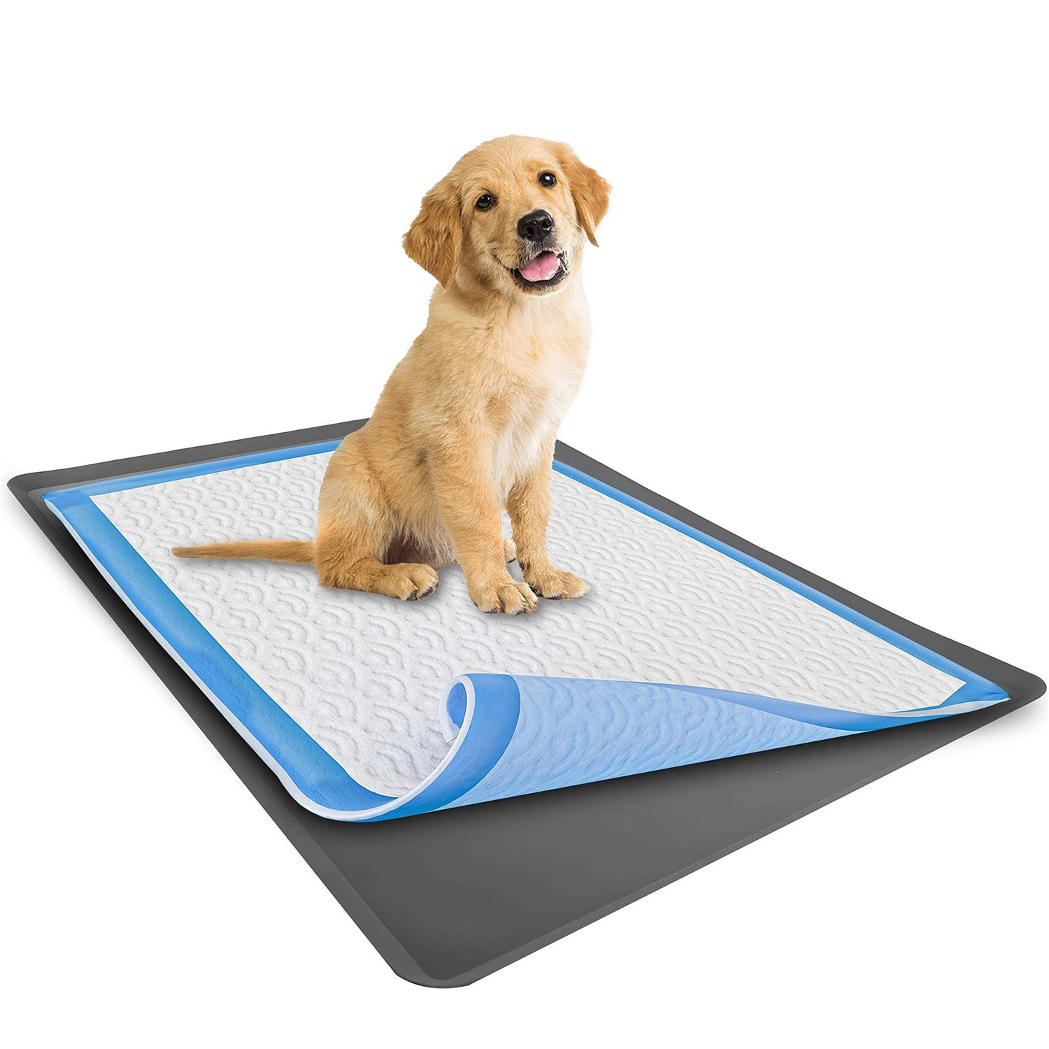 Skywin Puppy Pad Holder Tray No Spill Pee Pad Holder for Dogs Pee Pad Holder Works with Most Training Pads, Easy to Clean and Store - Healthber