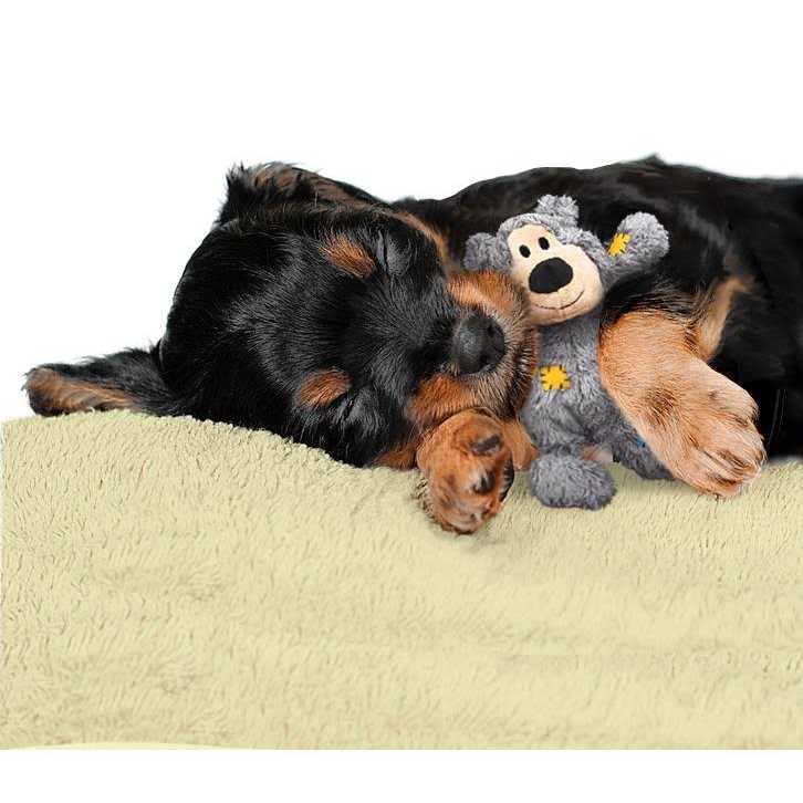 Kong Wild Knots Bear Dog Toy - Healthber
